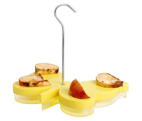 Futterschale Tränke für Schmetterlinge Schmetterlingstränke