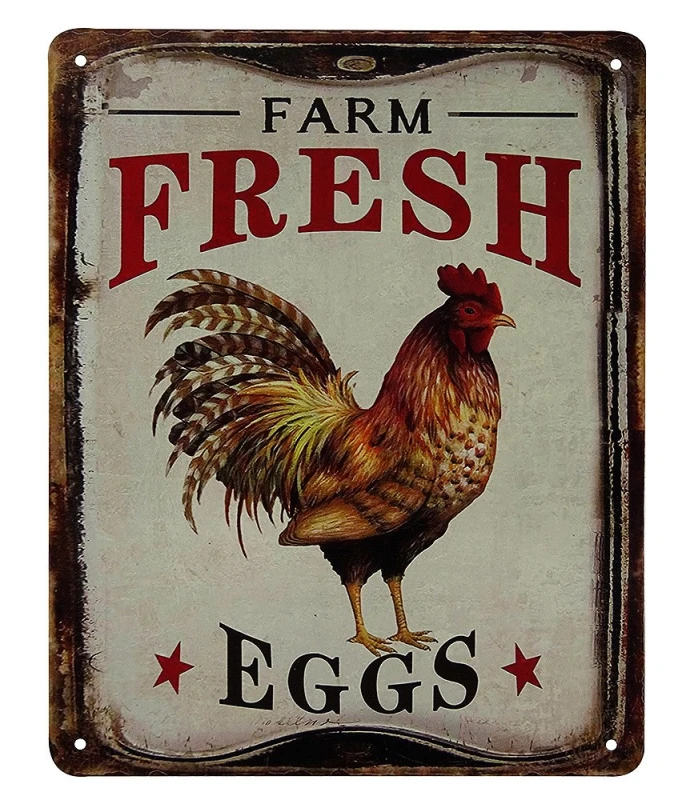 Blechschild FARM FRESH EGGS Hahn Dekoschild Nostalgie Vintage 25x20cm