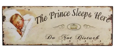 Blechschild The Prince Sleeps Here Vintage Dekoschild Bitte nicht stören 36x13cm