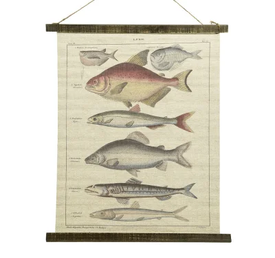 Schulwandkarte Wandbild Fische Lachse Biologie Nostalgie Leinwand 72x60cm