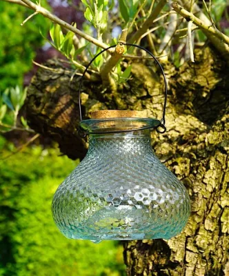 Wespenfalle Glas Klar zum Aufhängen Landhausstil Insektenfalle 13cm